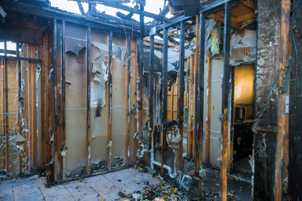 Professional Fire Damage Removal technician working in Harwood, MD